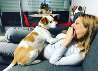 אקט של זיכרון – ברונו ממשיך להשאיר חותם