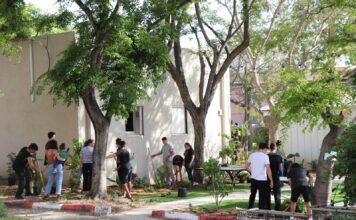 חניכי "עיינות" נטעו עצים לזכר אסף מסטר ז"ל