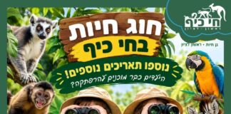 חוג חיות וחוויות לגילאי 4–6