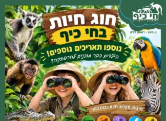 חוג חיות וחוויות לגילאי 4–6