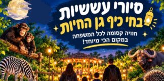 סיור עששיות בחי־כיף – חוויה לילית שלא שוכחים!