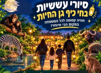 סיור עששיות בחי־כיף – חוויה לילית שלא שוכחים!